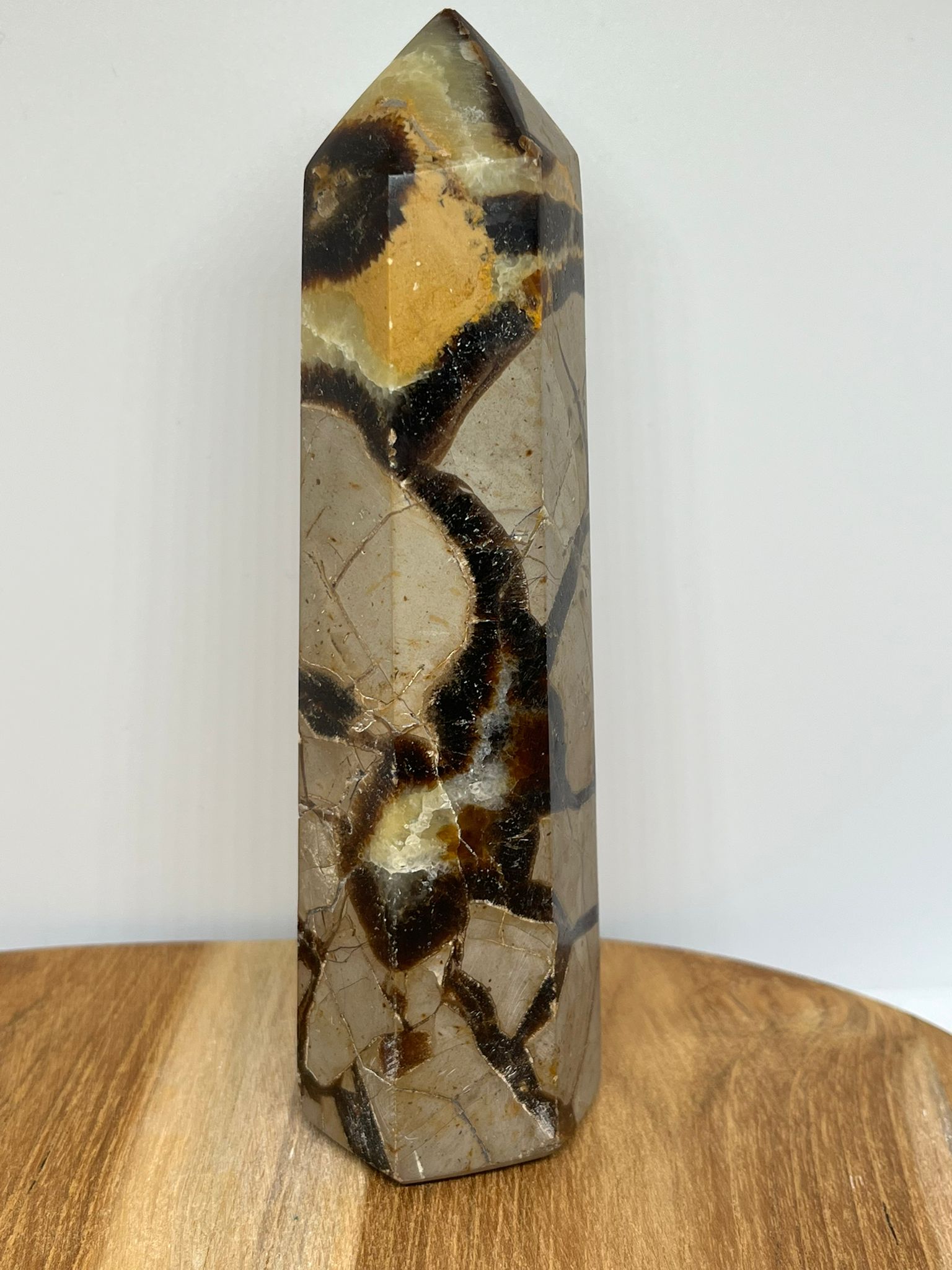 Septarie Obelisk – Aardend, Stabiliserend, Zelfverzekerend